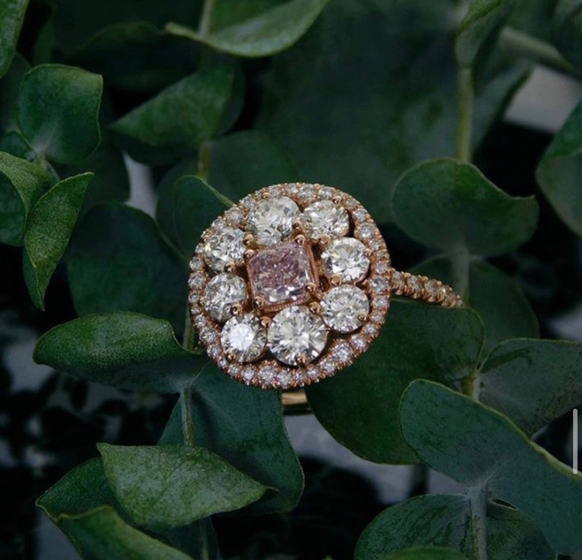 all rings collection
